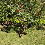 Domaine De Jouani La Charrue 度假居 *