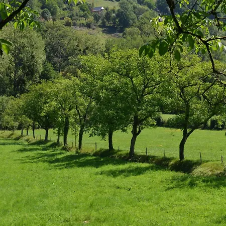 Domaine De Jouani La Charrue Hébergement de vacances *