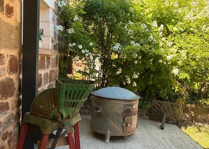 Domaine De Jouani La Charrue Villecomtal