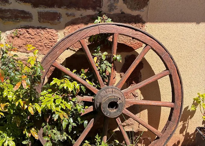 Domaine De Jouani La Charrue Tatil Evi