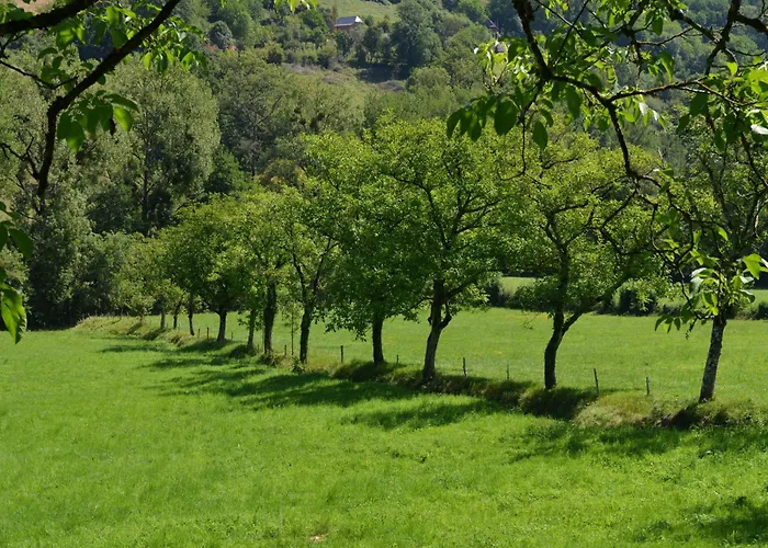 Domaine De Jouani La Charrue *