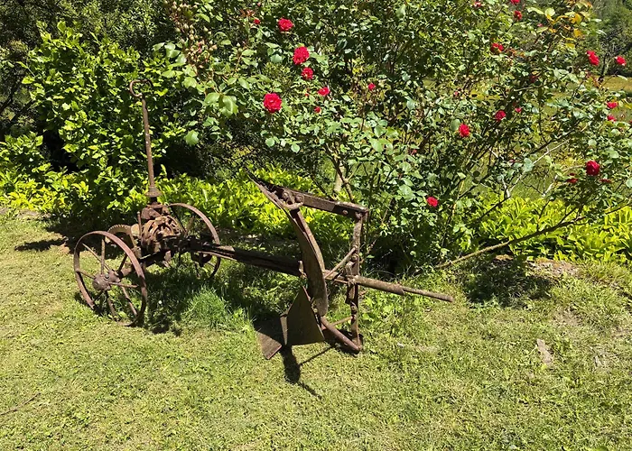 Domaine De Jouani La Charrue Tatil Evi *