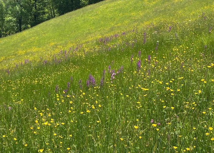 Domaine De Jouani La Charrue Tatil Evi Villecomtal